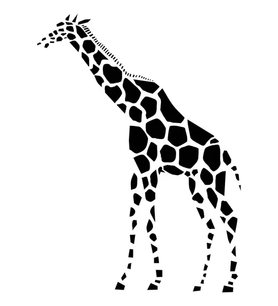 Vektor Illustration Der Giraffe Seitenansicht — Stockvektor