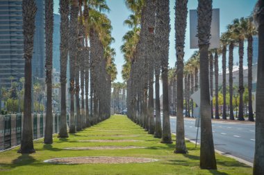 San Diego şehri, CA, ABD