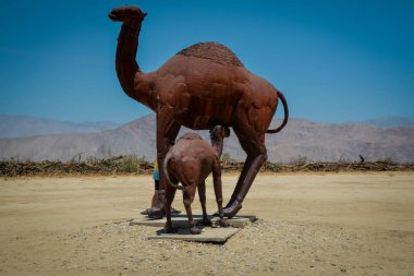 Anza Borrego Çölü 'nde Galleta çayırları, CA, ABD