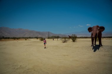 Anza Borrego Çölü 'nde Galleta çayırları, CA, ABD