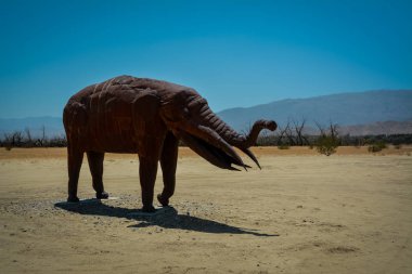 Anza Borrego Çölü 'nde Galleta çayırları, CA, ABD