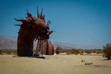 Anza Borrego Çölü 'nde Galleta çayırları, CA, ABD