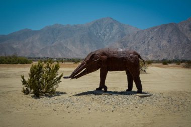 Anza Borrego Çölü 'nde Galleta çayırları, CA, ABD