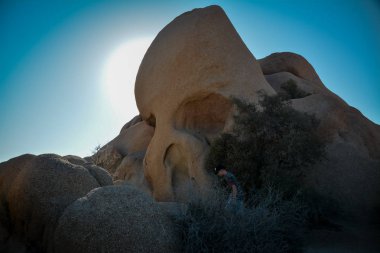Juborocks Joshua Tree, CA, ABD