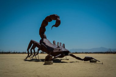 Anza Borrego Çölü 'nde Galleta çayırları, CA, ABD