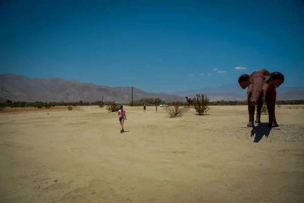 Galleta Meadows Pustyni Anza Borrego Usa — Zdjęcie stockowe