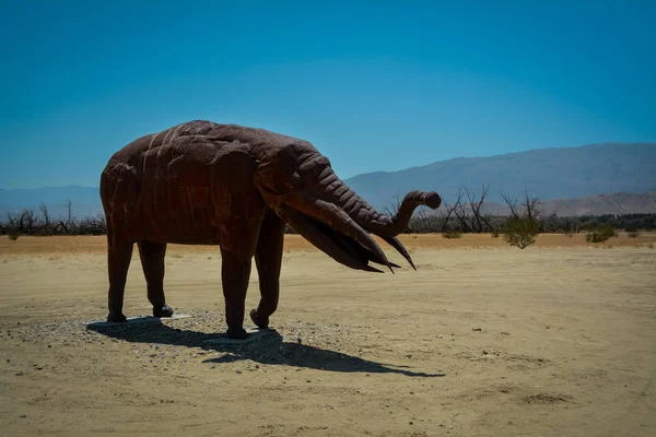 Anza Borrego Çölü 'nde Galleta çayırları, CA, ABD