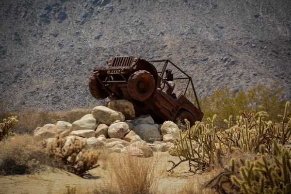Anza Borrego Çölü 'nde Galleta çayırları, CA, ABD