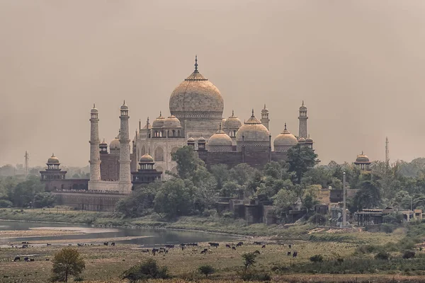 Taj Mahal Gündoğumu Işık Agra Hindistan — Stok fotoğraf