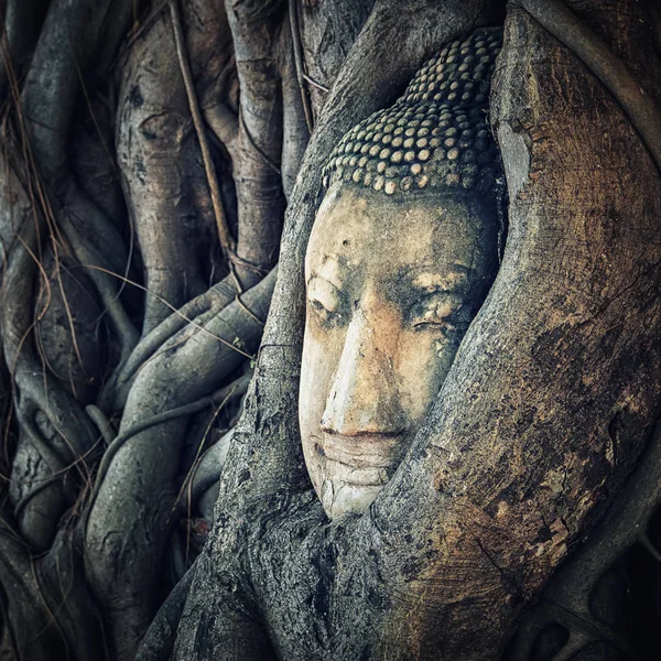 Buddha Kopf Wat Mahathat Ayutthaya — Stockfoto
