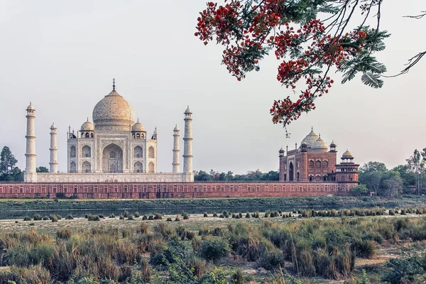 Mausoleo Taj Mahal Agra India — Foto de Stock