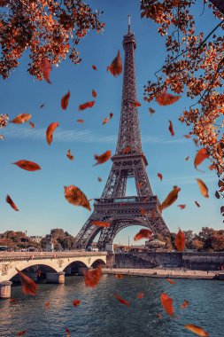 Paris'te Eyfel Kulesinin yakınında düşen yaprakları