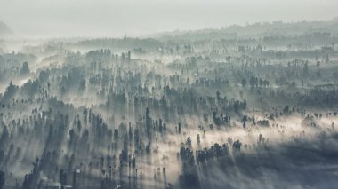 Bromo Milli Park'ta sabahın erken