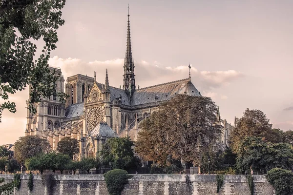 Sunset Notre Dame Paris — Stock Photo, Image