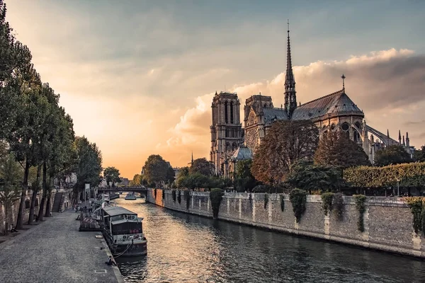 Sunset Notre Dame Cathedral Paris — стоковое фото