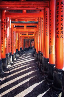 Fushimi Inari taisha tapınak Kyoto