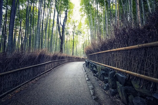 Arashiyama Bamboe Bos Kyoto Japan — Stockfoto