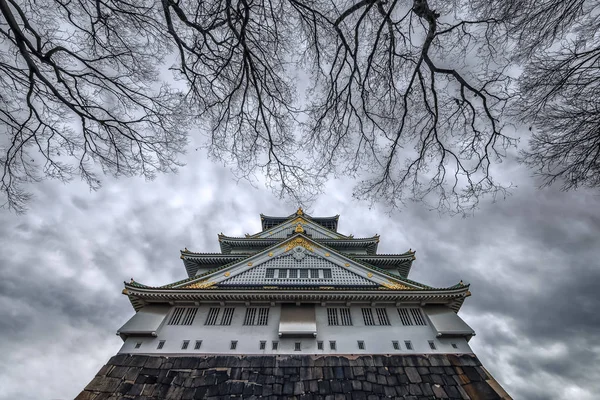 Castello Osaka Inverno Giappone — Foto Stock