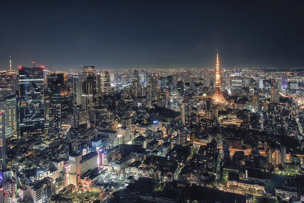 Tokyo Tower illuminated by night in Tokyo city