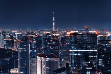 Gece ünlü Tokyo Skytree Kulesi ile aydınlatılan Tokyo şehir