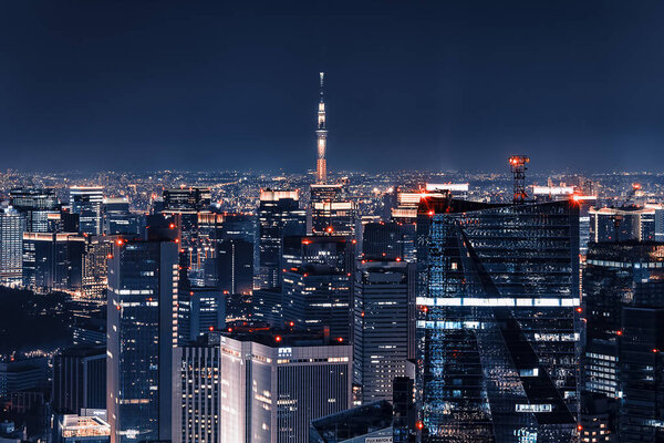 City of Tokyo illuminated by night with the famous Tokyo Skytree tower