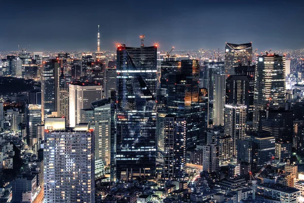 Město Tokio Osvětlené Noci Slavný Tower Tokyo Skytree — Stock fotografie