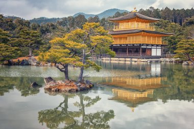 Kinkaku-ji Tapınağı: Kyoto, Japan