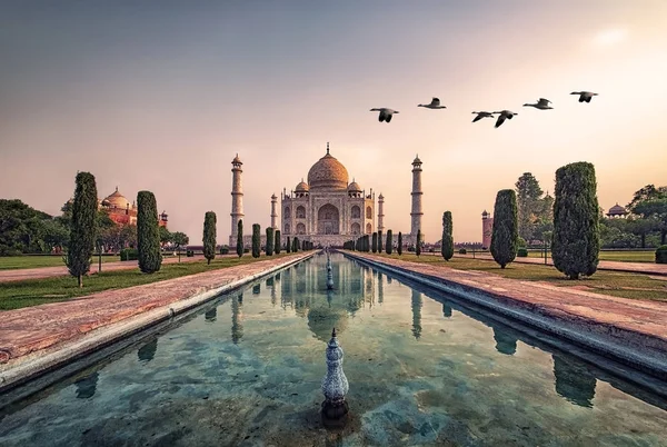 Taj Mahal Luz Del Amanecer Agra India — Foto de Stock