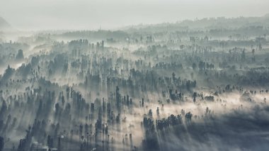 Bromo Milli Park'ta sabahın erken