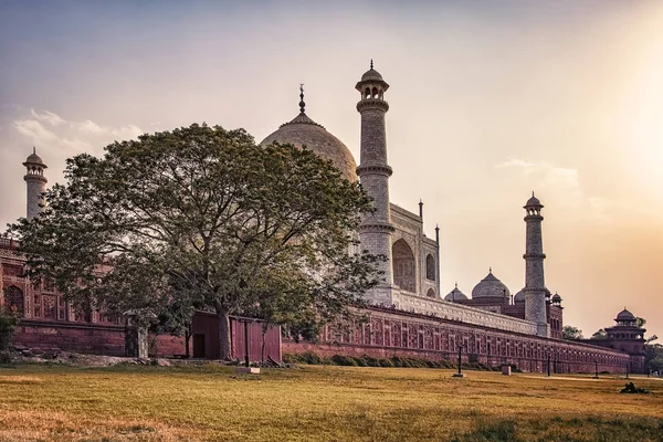 Taj Mahal Luz Del Atardecer Agra India — Foto de Stock