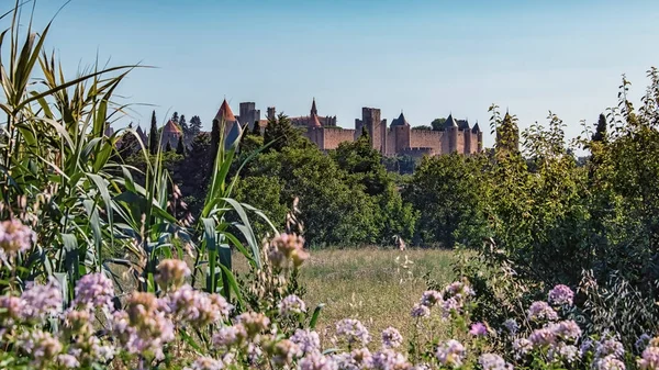 Vista Cidade Velha Medieval Carcassonne França — Fotografia de Stock