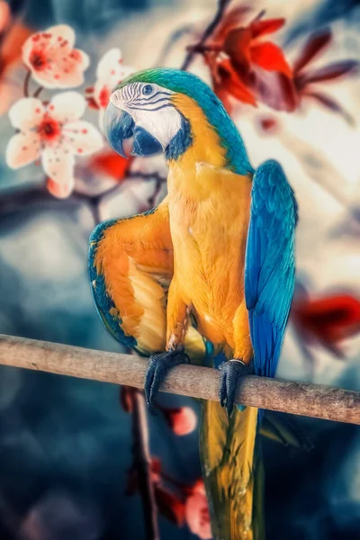 Papagei Mit Pflanzen Hintergrund — Stockfoto