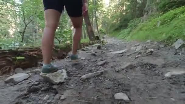 小女孩在山里的森林小径上散步 在山林中远足 — 图库视频影像