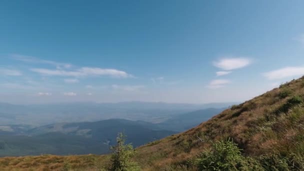 Dağların Güzel Manzarası Yazın Karpat Dağları — Stok video