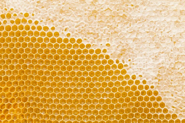 Honigwabe Aus Bienenstock Gefüllt Mit Frischem Goldenen Honig Sechseckige Textur — Stockfoto