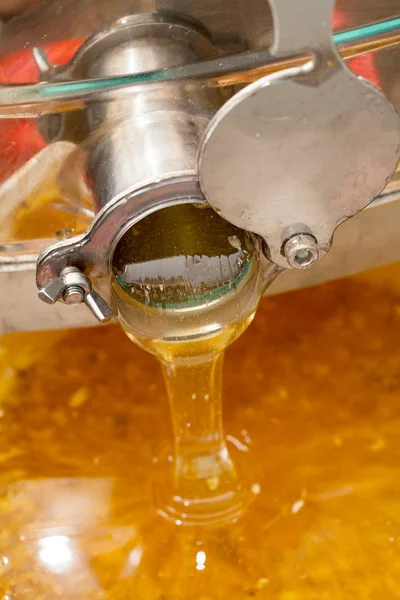 Close Picture Fresh Organic Acacia Honey Flowing Out Extractor Machine — Stock Photo, Image