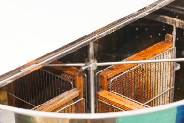 Petek taze bal hasat arıcı resmi kapatın