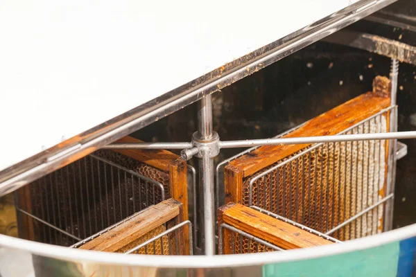 Petek taze bal hasat arıcı resmi kapatın