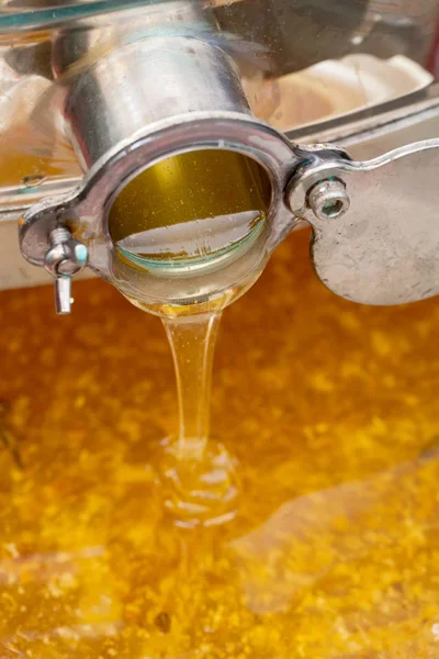 Taze damlama organik bal resmi oluşturan kapatın