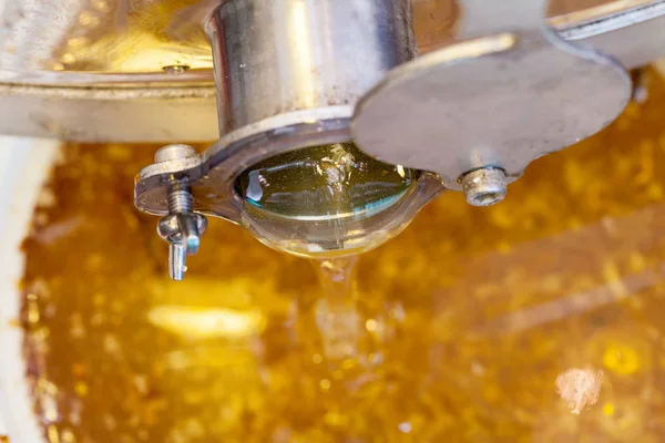 Close Picture Fresh Dripping Organic Honey — Stock Photo, Image