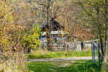 Resim Transilvanya, Romanya'nın ortasında bir eski terk edilmiş yazlık