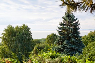 Macar lake Balaton güzel resmi