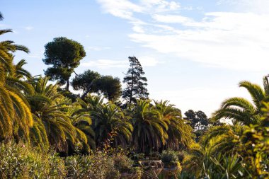 Güneşli Kasım sabah Park Guell - Gaudi'nin başyapıt Barcelona, İspanya