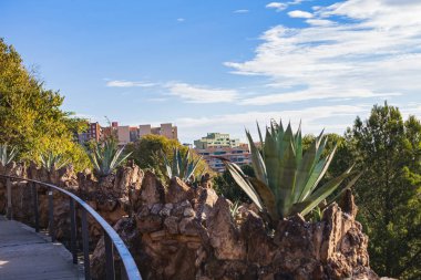 Güneşli Kasım sabah Park Guell - Gaudi'nin başyapıt Barcelona, İspanya