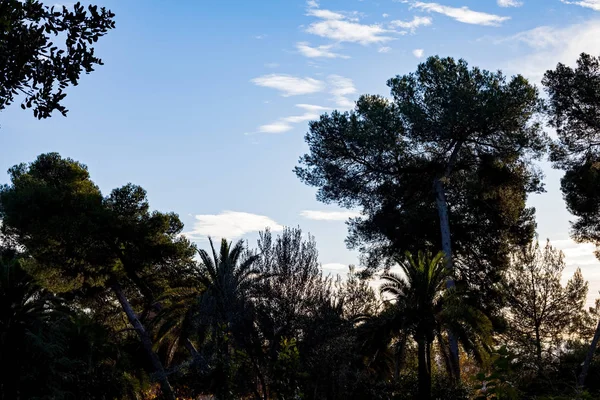 Slunečné Ráno Listopadu Parku Güell Gaudího Mistrovské Dílo Barceloně Španělsko — Stock fotografie