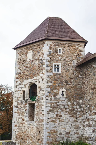 Καταπληκτικό Μεσαιωνικό Κάστρο Της Λιουμπλιάνα Σλοβενία — Φωτογραφία Αρχείου