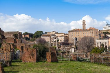 Roma Forumu