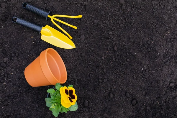 Gardening tools - top view — Stock Photo, Image