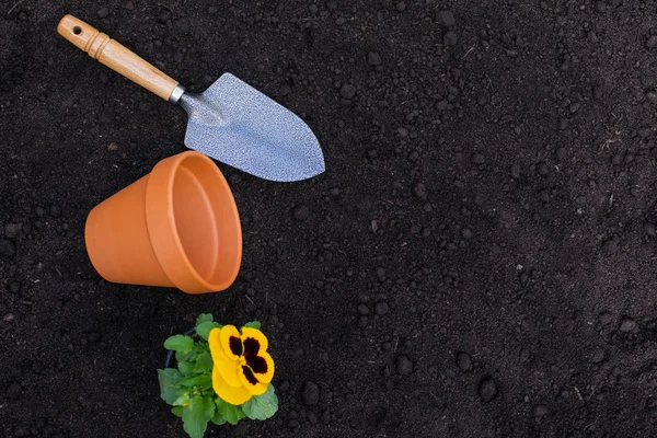 Gardening tools - top view — Stock Photo, Image