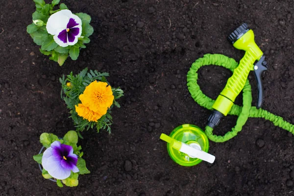 Gardening tools - top view — Stock Photo, Image